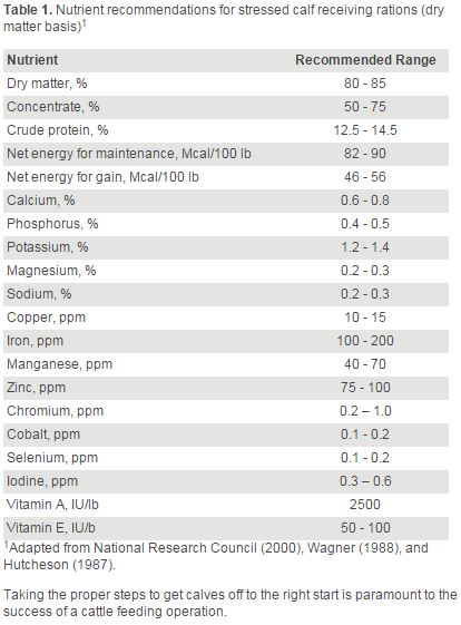 getting-the-right-cattle-nutrition-and-health-when-receiving-feedlot